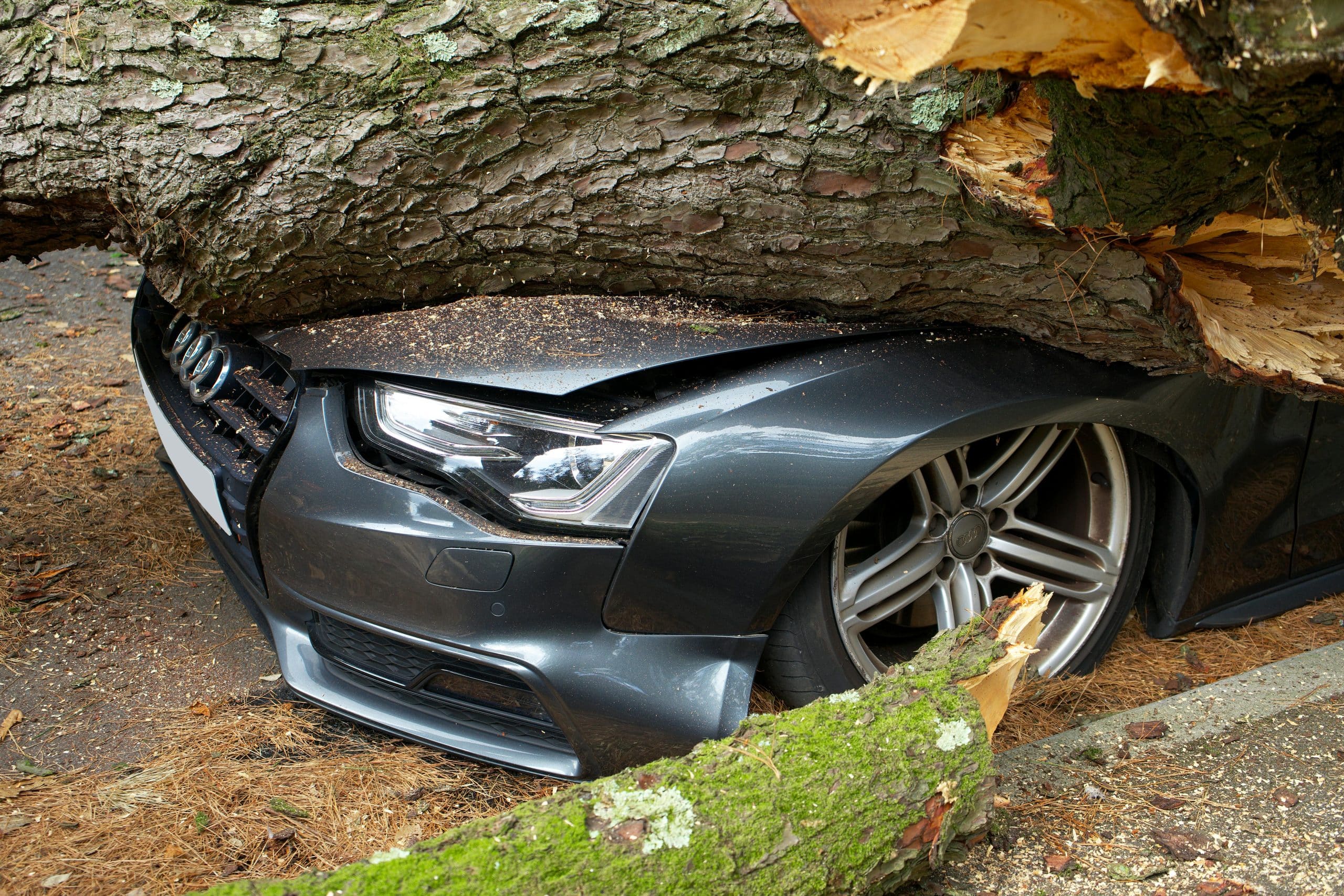 Auto Insurance Basics: What Every Driver Should Know